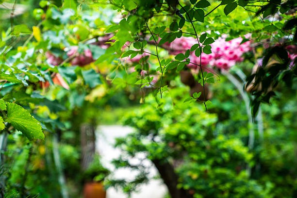 Perfect Mens Resort Wear for Your Next Getaway