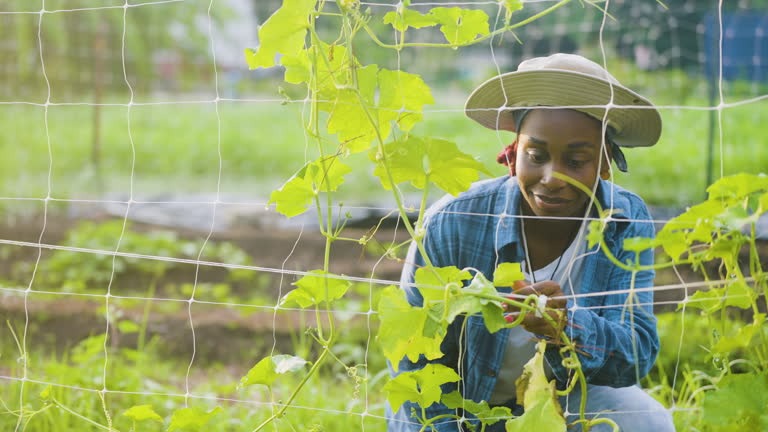 Leading Fence Companies in Salem Oregon for Durable Solutions