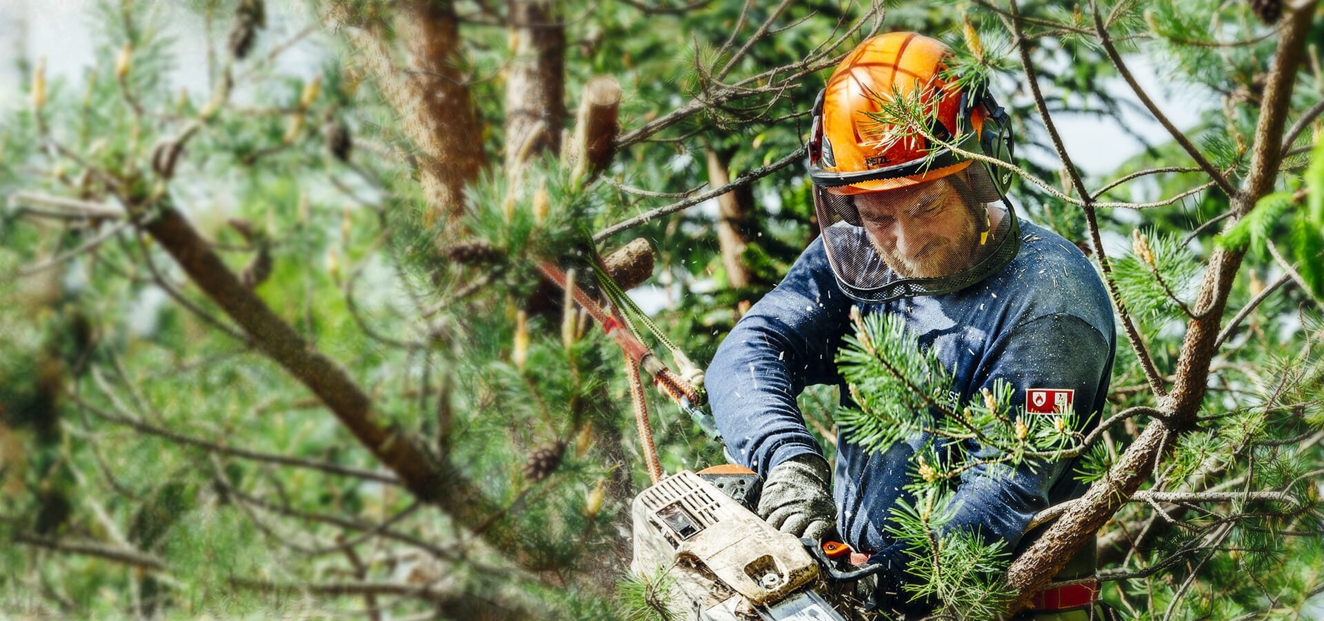 Reliable Garden Maintenance by Heald green tree surgeon Professionals