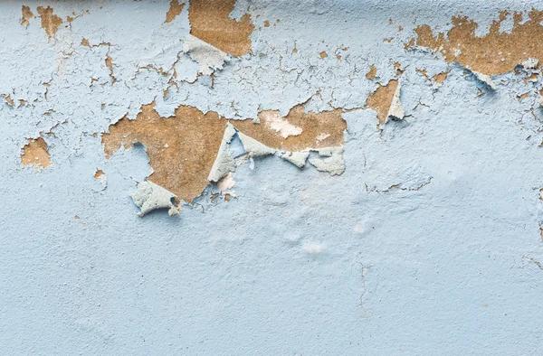 Basement Water Damage Fremont CASigns, Causes & Fast Repair Solutions