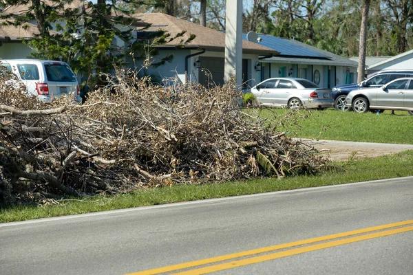 Trusted Shelton WA Tree Removal Specialists Near You